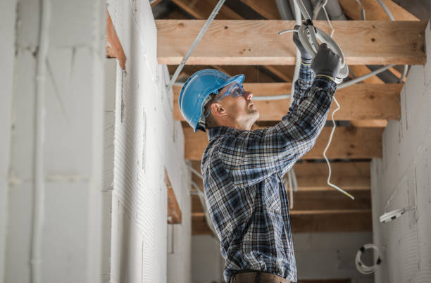 Best Local Electrician Companies  in Meadow Glade, WA